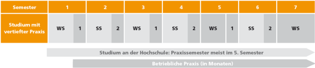 Modell Studium Mit Vertiefter Praxis Technische Hochschule Rosenheim